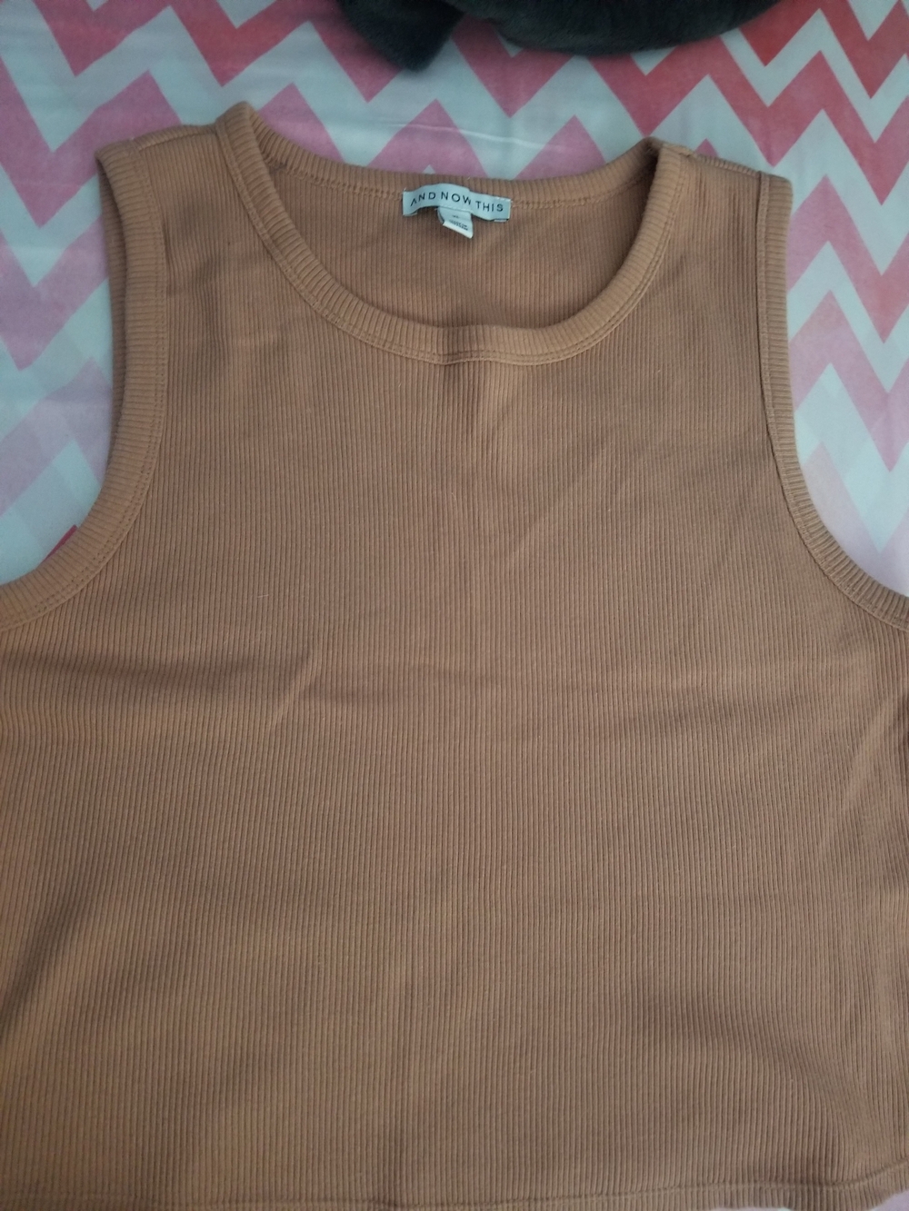 And Now This Ribbed Sleeveless Crop Top in Tan
